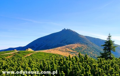 Śnieżka