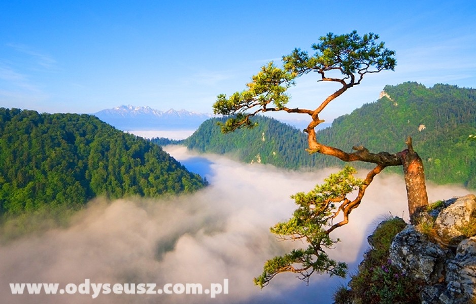 Pieniny - widok z Sokolicy